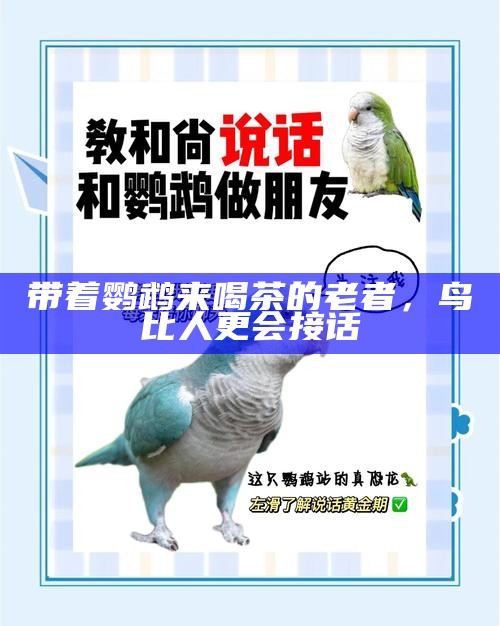 带着鹦鹉来喝茶的老者，鸟比人更会接话